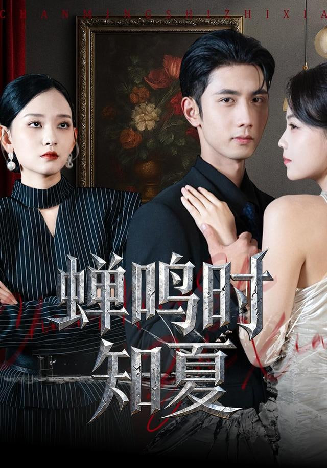 热播榜第九名影片海报